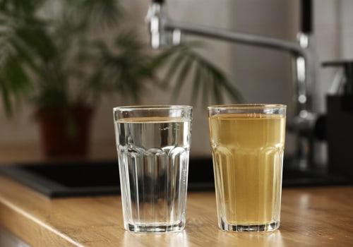 Reduced Plastic Waste from Bottled Water: How a Water Filtration Company Can Help